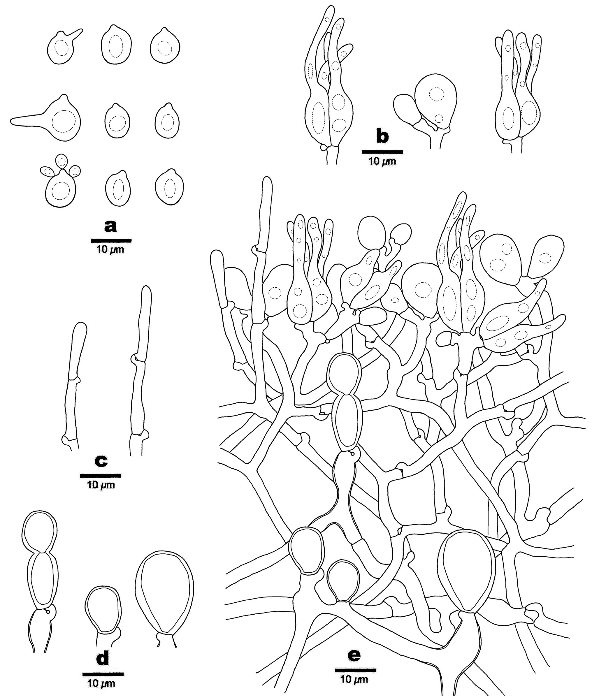 Figure 87